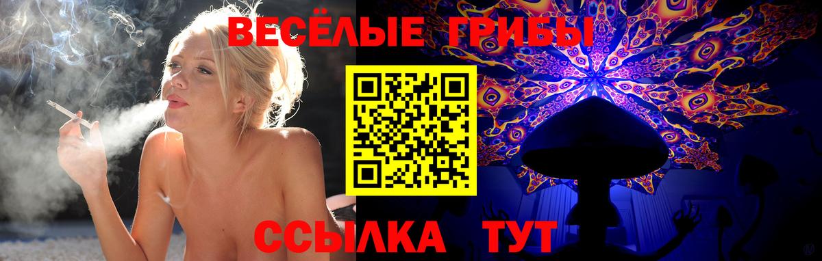 Миллерово  Галлюциногенные грибы Psilocybe  Вход с VPN  Галлюциногенные грибы Cubensis 