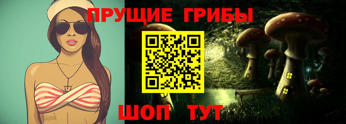 Галлюциногенные грибы Psilocybe Миллерово