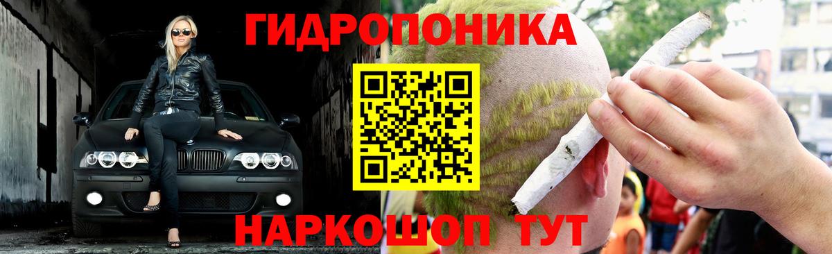 Каннабис OG Kush Миллерово
